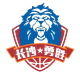 长沙勇胜logo