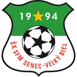 SFM森纳克logo